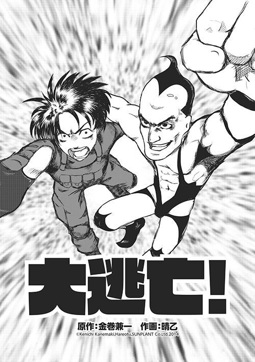 晴乙